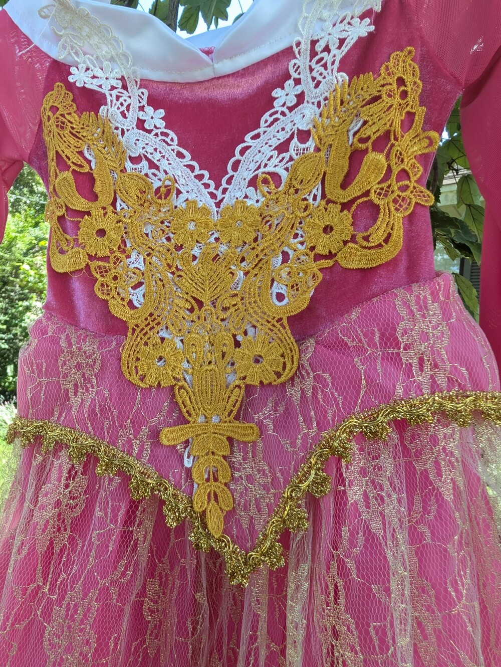 Pink Princess Lace Kids Costume Dress with Gold Appliqué